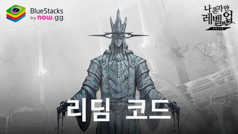 나 혼자만 레벨업 어라이즈 쿠폰 모음 & 리딤코드 입력 팁 (최신 2026년 1월)